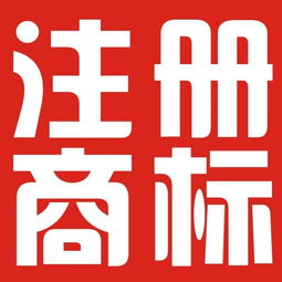 臨沂企業(yè)一站式知識(shí)產(chǎn)權(quán)服務(wù) 公司注冊(cè)、商標(biāo)、專利與版權(quán)保護(hù)全攻略