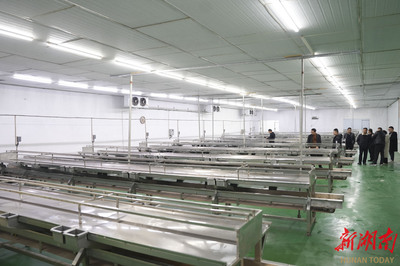 洞庭月歷｜二月·漁民 湖平浪靜，岸邊泊著美好的夢與豐饒的農(nóng)副產(chǎn)品