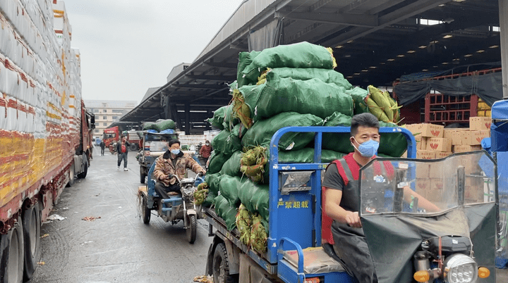 杭州農副產品物流中心蔬菜保供措施實地探訪